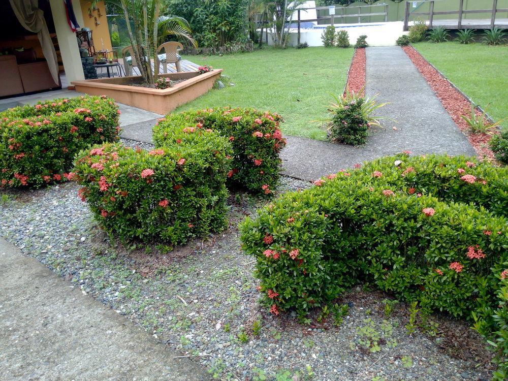 Kalea Yard Hotel Puerto Jiménez Exterior foto